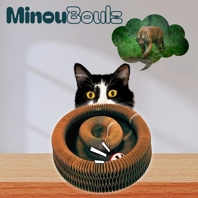 Minou Boulz