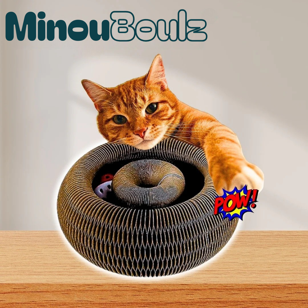 Minou Boulz